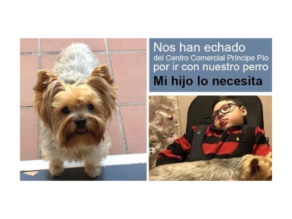 «No echen a mi hijo del centro comercial por ir con su perrito»