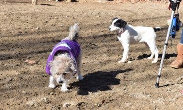 Alcalá estrena área canina en Juan de la Cierva