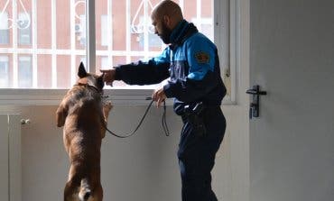 Premian el trabajo de la Unidad Canina de la Policía de Coslada