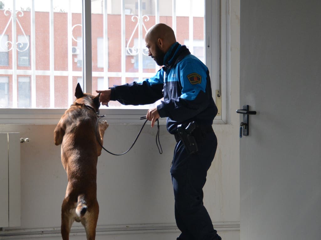 Un ladrón es sorprendido en Coslada trepando por la fachada de un edificio