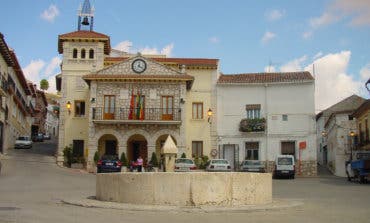 Deja moribundo a un perro tras golpearle con un pico en la cabeza