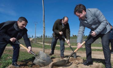 La Comunidad planta más de 1.000 árboles y arbustos entre Alcalá y Torrejón