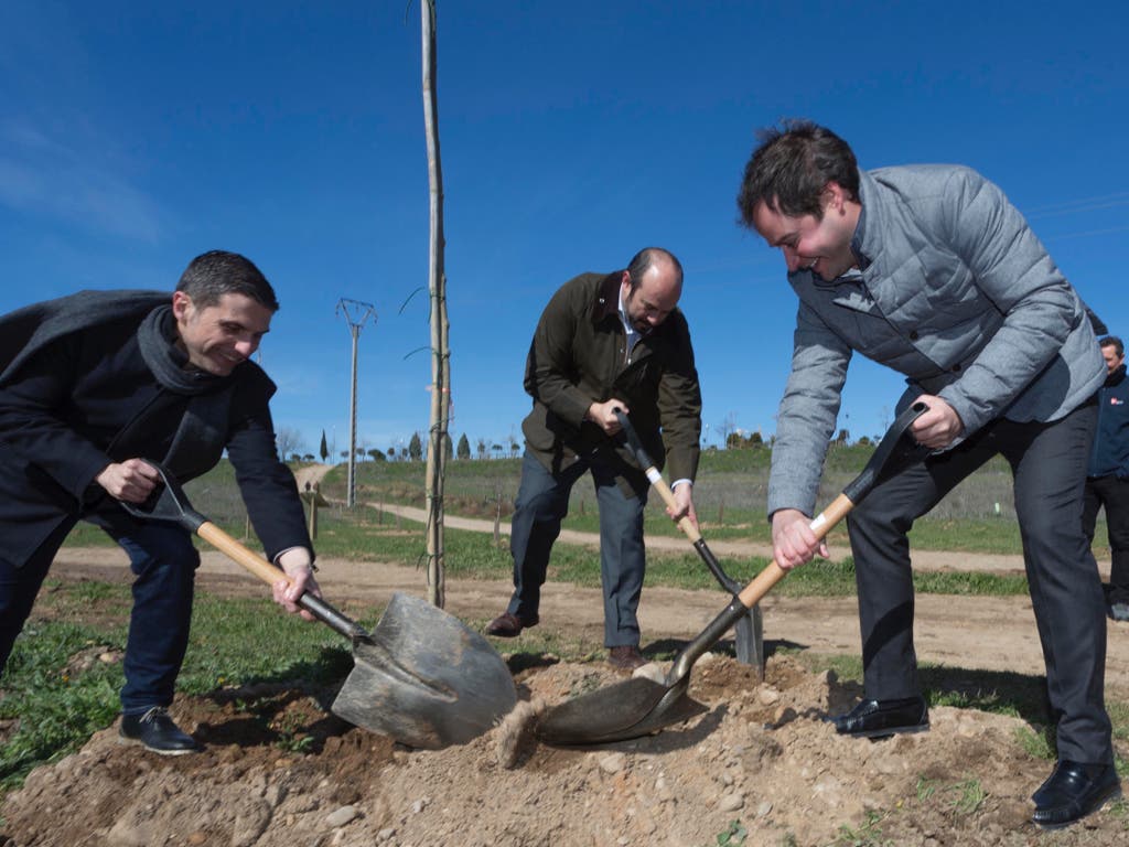 La Comunidad planta más de 1.000 árboles y arbustos entre Alcalá y Torrejón