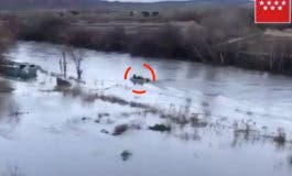Rescatan a un perro atrapado en el río Henares, en Torrejón