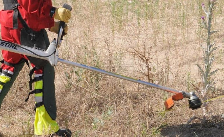 Multa de hasta 3.000 euros en Alcalá para los que no mantengan limpias sus parcelas 