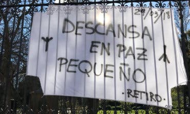 El juez archiva la causa por la muerte de un niño en el parque de El Retiro