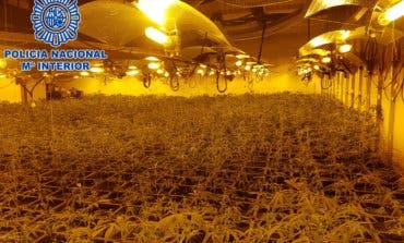 12 detenidos y 370 kilos de marihuana intervenidos en Madrid