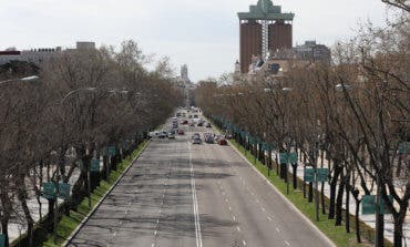 Madrid retirará 747 árboles del Paseo de la Castellana