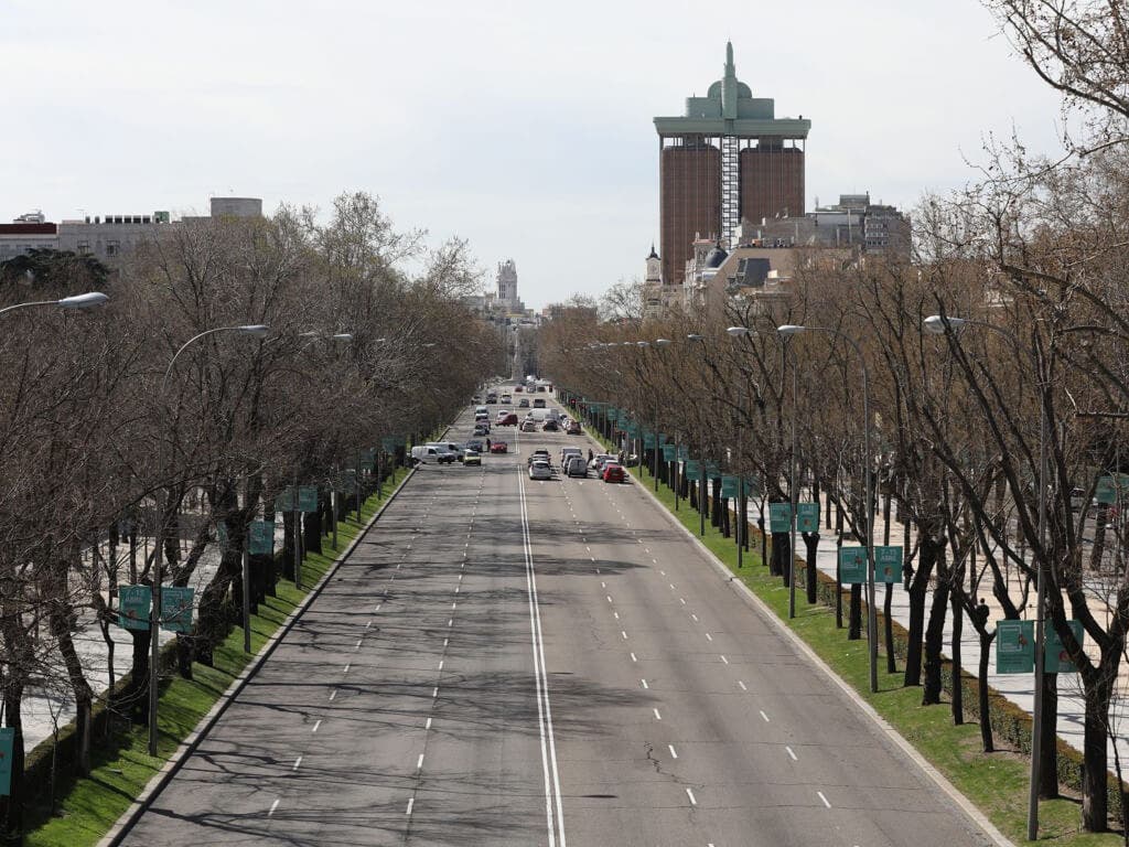 Madrid retirará 747 árboles del Paseo de la Castellana