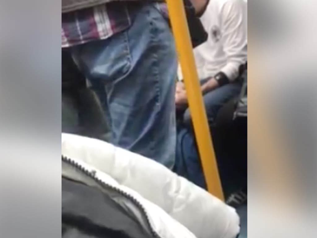 Estafa en el Metro de Madrid en nombre de la protectora de Torrejón