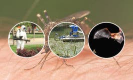 Torrejón comienza la lucha contra los mosquitos por tierra, agua y aire