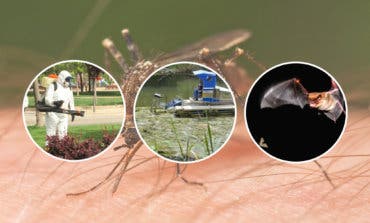 Torrejón comienza la lucha contra los mosquitos por tierra, agua y aire