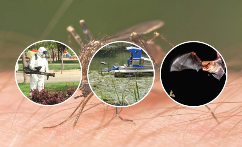 Torrejón comienza la lucha contra los mosquitos por tierra, agua y aire