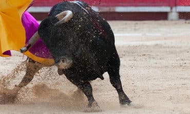 El Ayuntamiento de Alcalá de Henares dice que «no es posible» prohibir los eventos taurinos 
