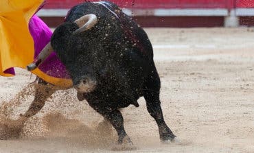 Los toros vuelven a la ciudad de Guadalajara en marzo con un festival taurino y un concurso nacional de recortes