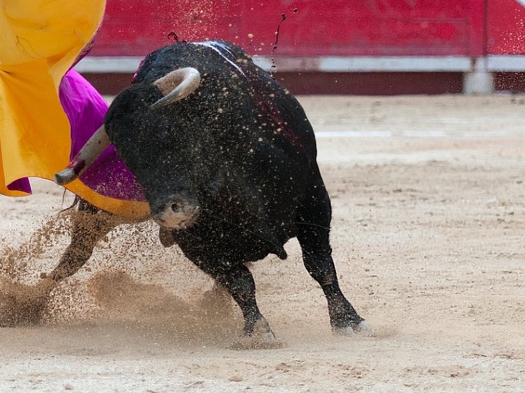 Cancelados los festejos taurinos de Aranjuez, Sanse, Valdetorres y Navas del Rey