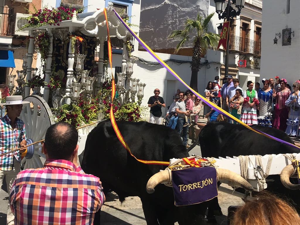 Las hermandades de Torrejón y Alcalá emprenden su camino al Rocío