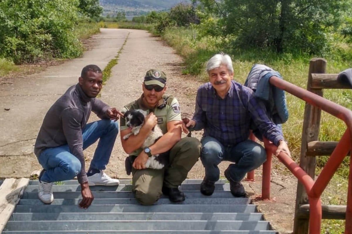 Rescatan a un perro anciano y ciego atrapado en un foso