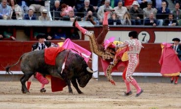 Herido grave El Cid tras sufrir una cornada en Las Ventas