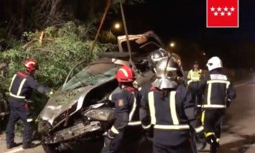 Muy grave un conductor de 19 años tras estrellarse contra un árbol