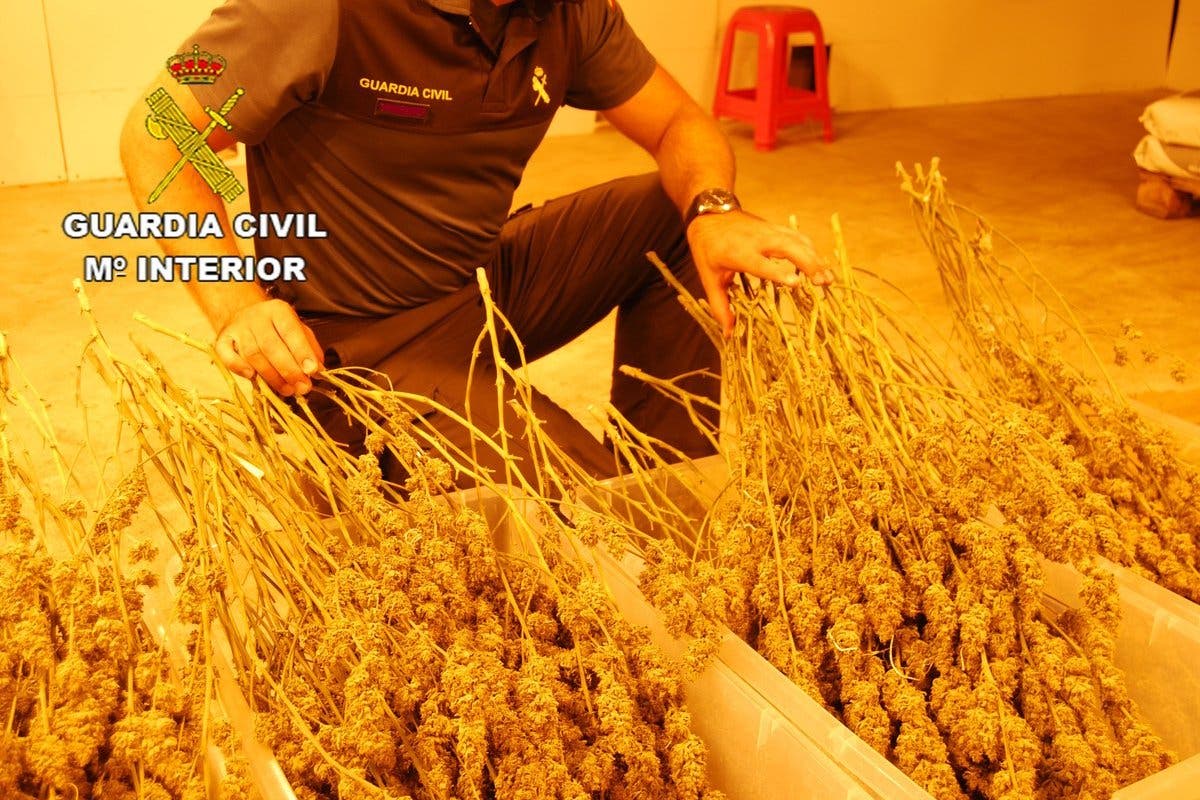 Dos detenidos y 44 kilos de marihuana incautados en Guadalajara