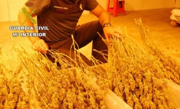 Dos detenidos y 44 kilos de marihuana incautados en Guadalajara