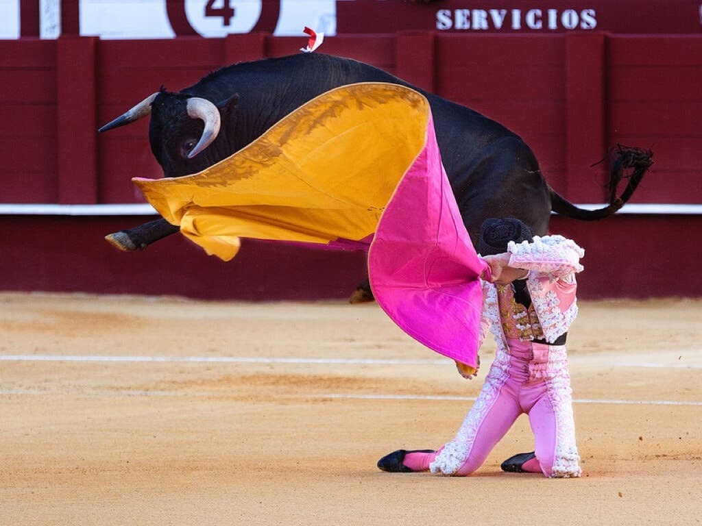 Pablo Iglesias propone un referéndum para decidir sobre los toros 