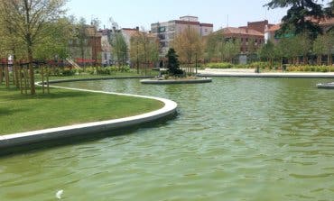 El curioso detalle del nuevo Parque Central de Torrejón que quizá no has visto