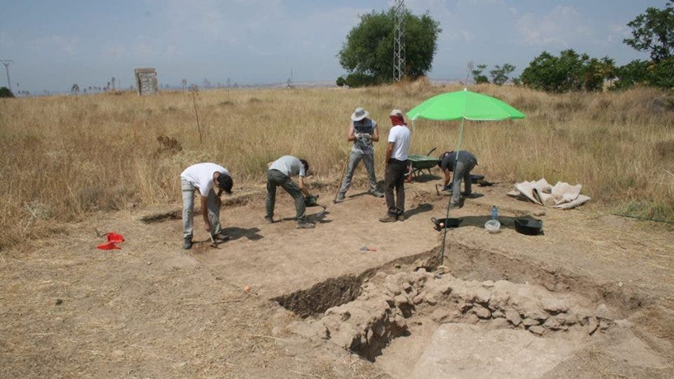 Villalbilla confirma la existencia de una gran ciudad romana en el Cerro del Viso