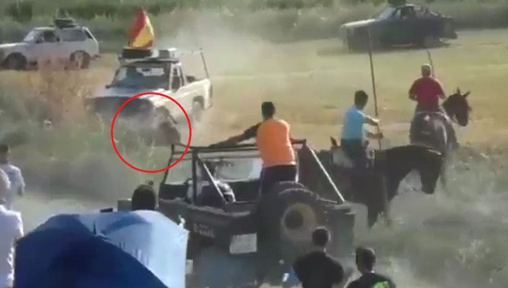 Un todoterreno mata a un toro en un encierro en Guadalajara