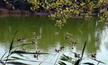 Una pasarela peatonal sobre la A-2 unirá Azuqueca con el río Henares