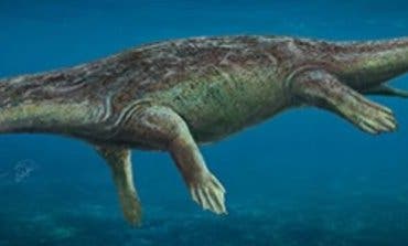 Descubren un reptil marino que vivió en Guadalajara hace 230 millones años