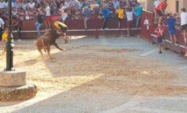 Un herido por asta de toro en el encierro de Salmerón (Guadalajara)