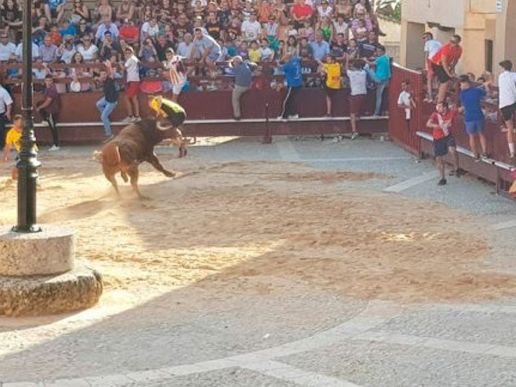 Un herido por asta de toro en el encierro de Salmerón (Guadalajara)