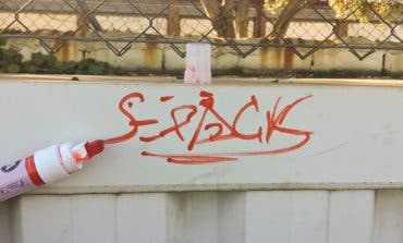 La Policía de Torrejón pone a disposición judicial a 25 individuos por actos vandálicos 