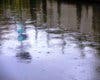 Aviso amarillo en Madrid por lluvias, tormentas, viento y granizo este miércoles