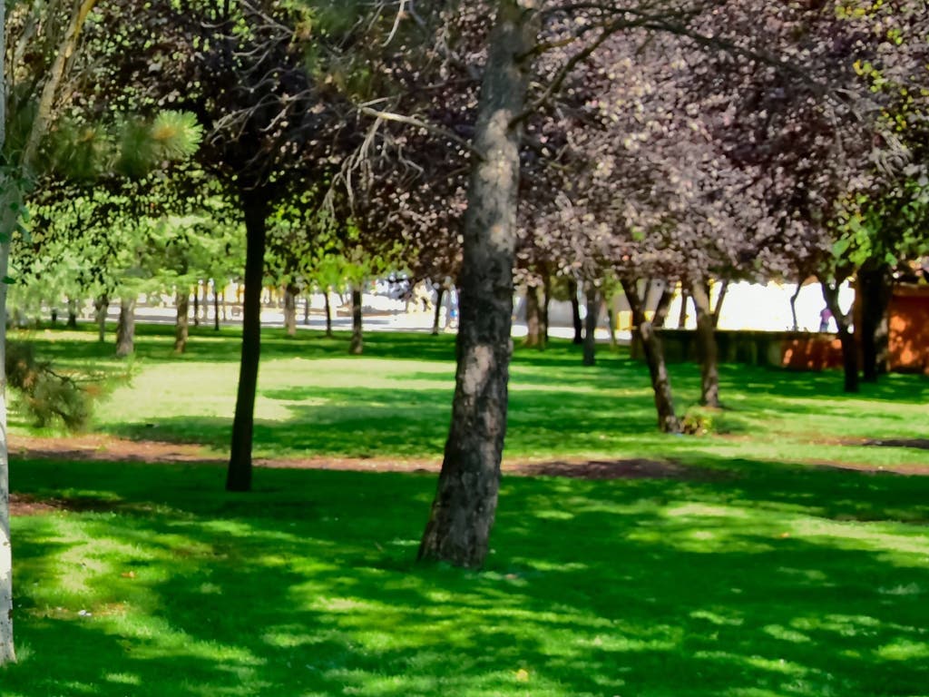 El Parque de Ocio de Torrejón se prepara para las Mágicas Navidades