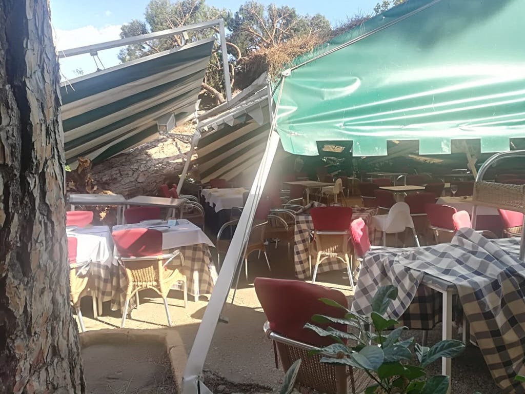 Un árbol de grandes dimensiones cae sobre la terraza de un restaurante en Madrid