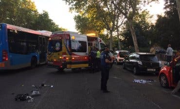 Muy grave un hombre al intentar salvar a su perro de un atropello