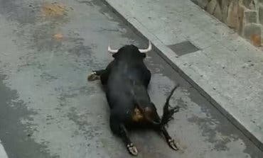 La brutal imagen del toro accidentado en Mejorada del Campo llega a la prensa internacional 
