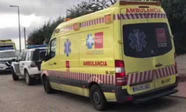 Sacrifican a los perros que mataron a sus dueñas en Colmenar de Oreja 
