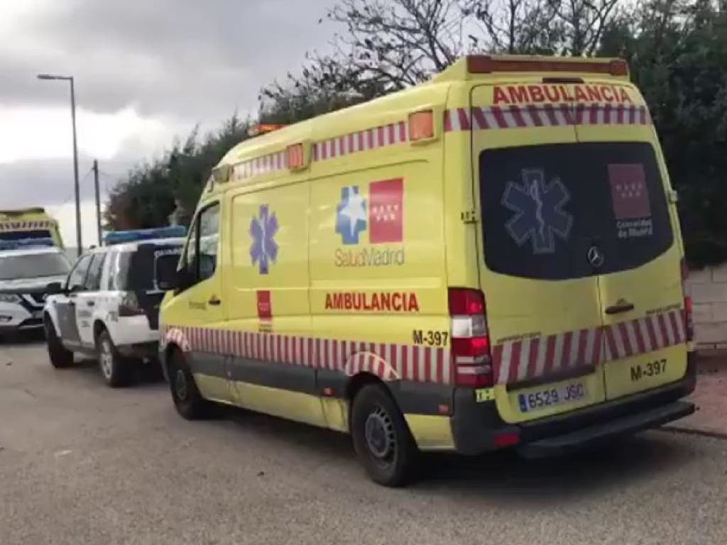 Sacrifican a los perros que mataron a sus dueñas en Colmenar de Oreja 