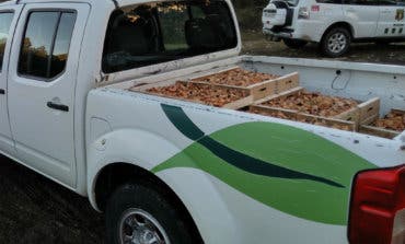 Decomisan un cargamento de 160 kilos de níscalos recogidos en Guadalajara