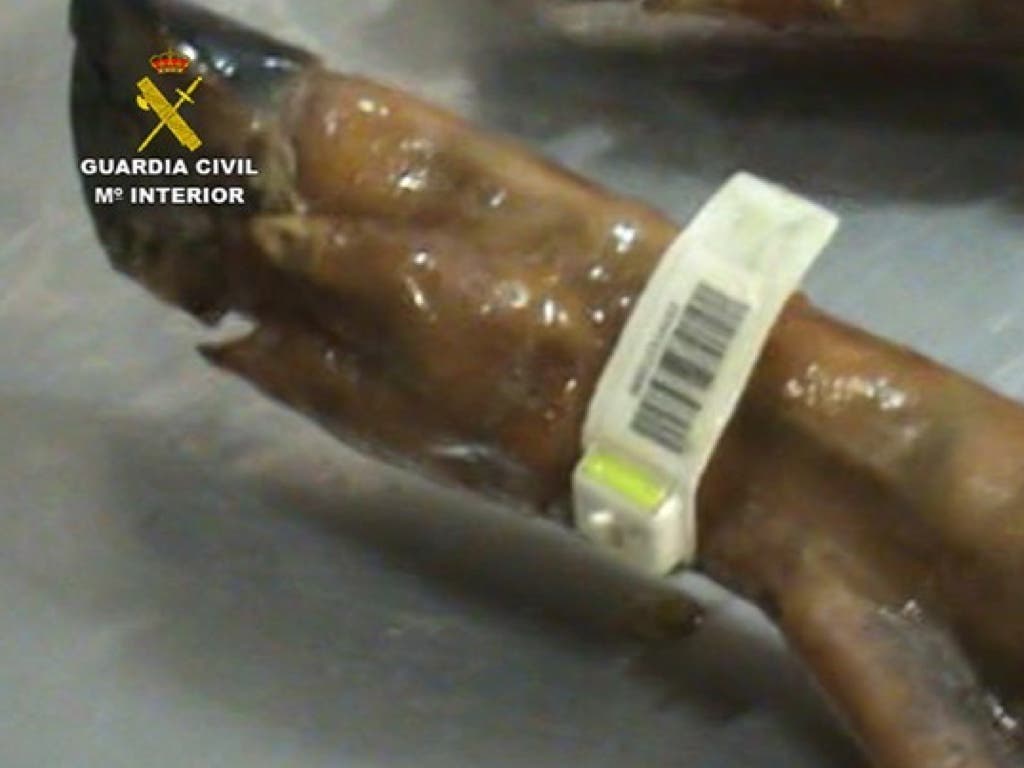 Desarticulada en Madrid una organización que vendía falsas paletas de cerdo ibérico 