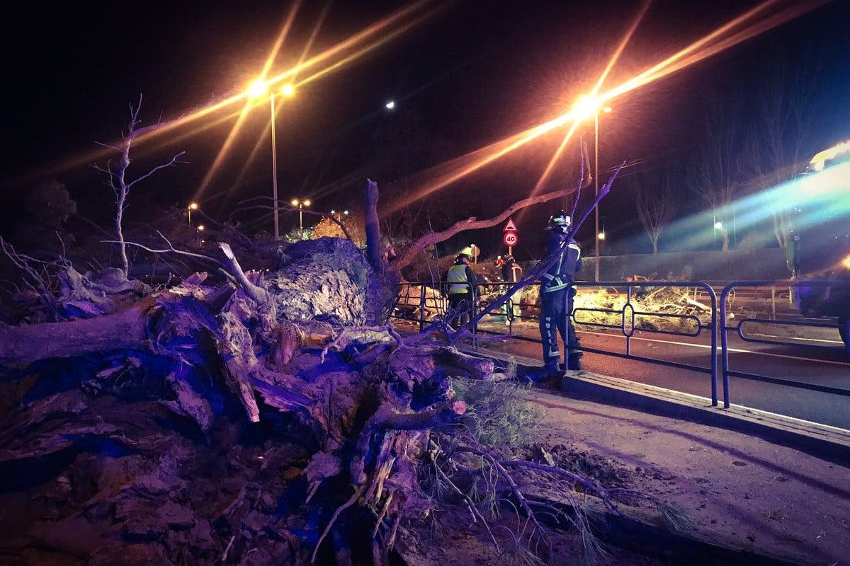 La caída de un árbol deja dos heridos, uno grave