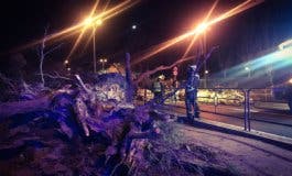 La caída de un árbol deja dos heridos, uno grave