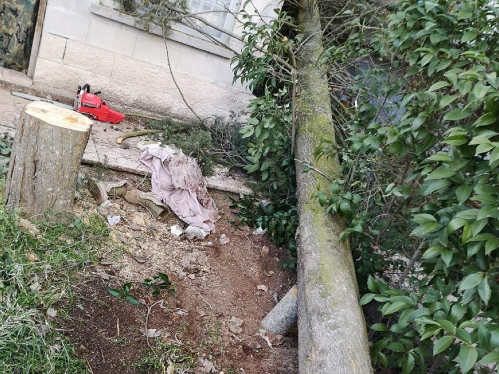 Herido grave al caerle encima el árbol que talaba en Nuevo Baztán