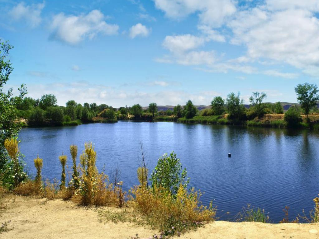 Retiran 42 toneladas de residuos de la laguna de Arganda para transformarlos en energía