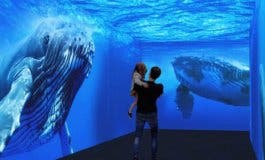 Abre sus puertas en Madrid el primer acuario interactivo de Europa