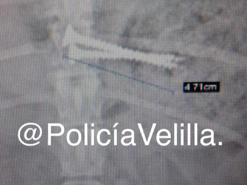 Hallan tornillos en el estómago de un perro en Velilla